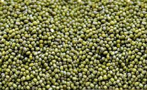 Sabut Moong/Whole Moong