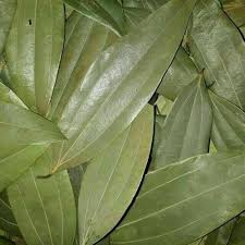 Bay Leaf/Tej Patta 100gm