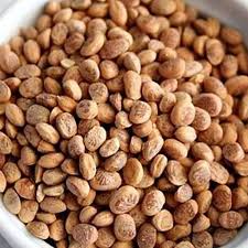 Chironji Seeds/Chalonji Seeds 100g